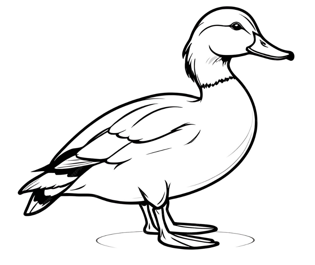 Capture d’écran 2024-10-12 à 15.13.37